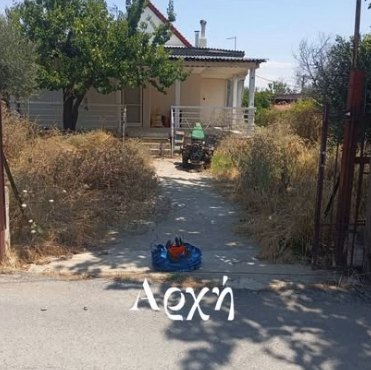 Αρχή: αυλή γεμάτη ξερά χόρτα