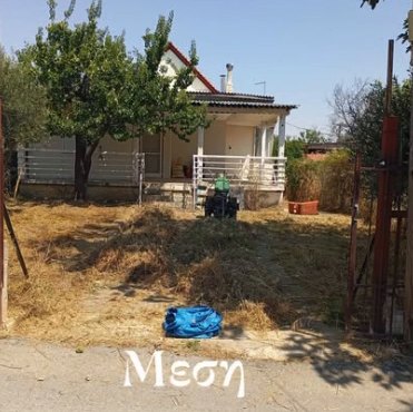 Μέση: τα χόρτα κομμένα