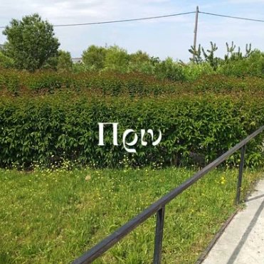 Πριν: φράχτης ακλάδευτος