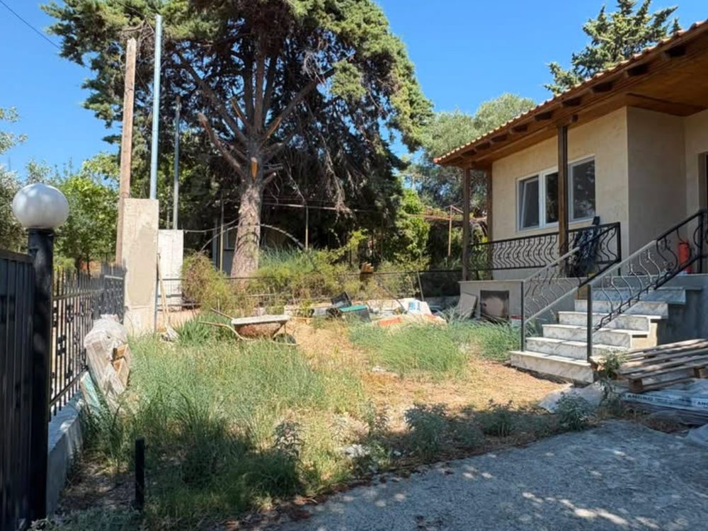 Η αυλή στην αρχή, με ψηλά χόρτα